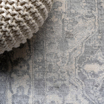 Jerica modern Persian Vintage Medallion Area Rug
